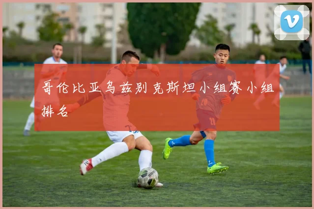 哥伦比亚乌兹别克斯坦小组赛小组排名