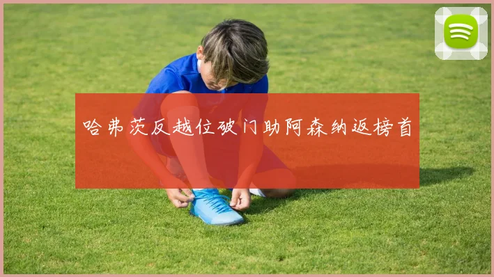 哈弗茨反越位破门助阿森纳返榜首