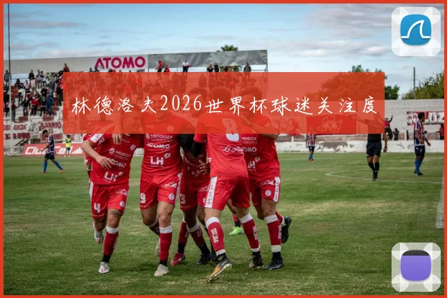 林德洛夫2026世界杯球迷关注度