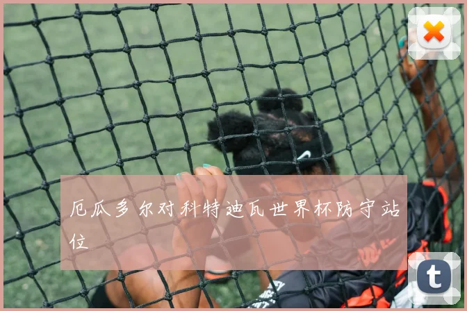 厄瓜多尔对科特迪瓦世界杯防守站位