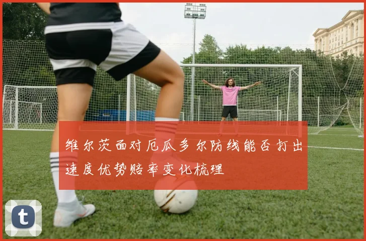 维尔茨面对厄瓜多尔防线能否打出速度优势赔率变化梳理